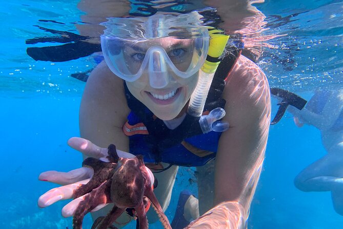 Maui: Turtle Town Snorkel with Photo and Video - Who should book this Turtle Town snorkel on Maui