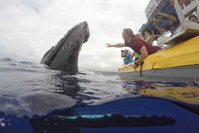 Maui: Ultimate Whale Watch from Lahaina - Hydrophone Whale Songs: Turn Sight Into Sound
