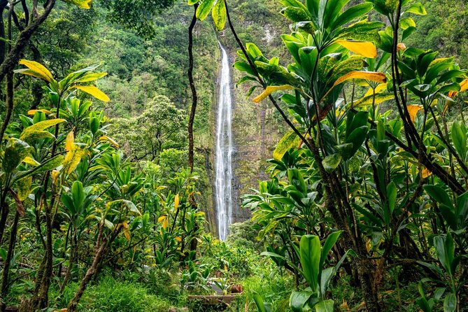 Maui: VIP Private Road to Hana Tour with Pick Up - Ke‘anae Point: the taro town story, with lava geology in the mix