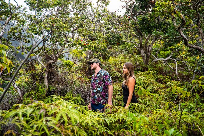 Maui: VIP Private Road to Hana Tour with Pick Up - Wai‘anapanapa State Park: black sand, crystal water, and mineral sparkle