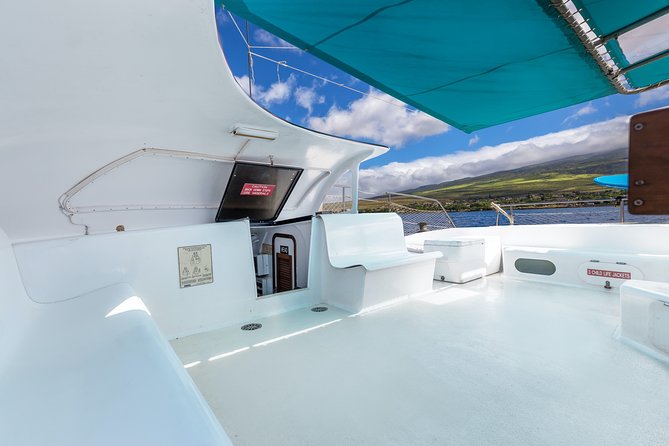 Maui: Whale Watching Cruise with Open Bar from Ka'anapali Beach - Unlimited Open Bar and Snacks: Fun Included, and How to Pace It
