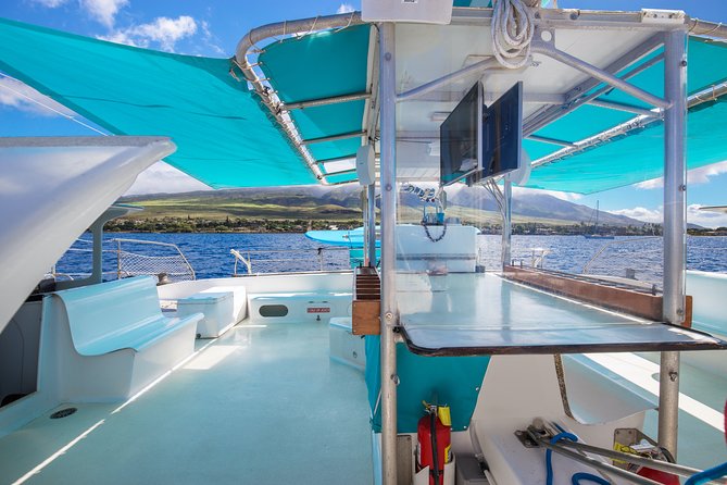 Maui: Whale Watching Cruise with Open Bar from Ka'anapali Beach - Who This Whale Cruise Fits Best, and Who Should Skip It