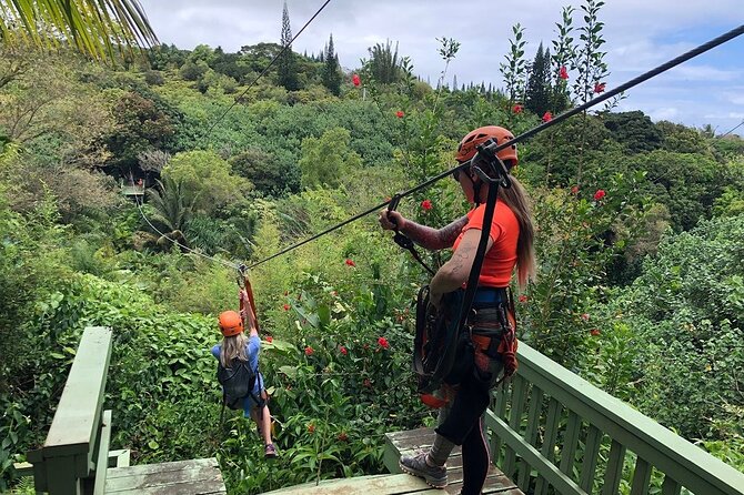 Maui Zipline Eco Adventure: 8 Lines through the Jungle - Key Things That Make This Tour Worth Your Time