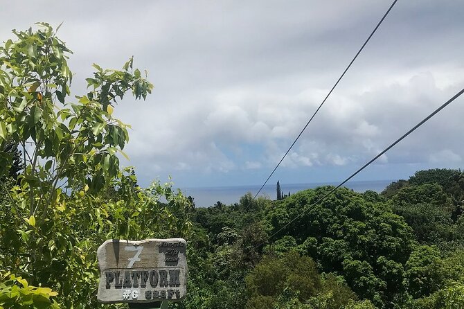 Maui Zipline Eco Adventure: 8 Lines through the Jungle - The Halfway Break: Snacks, Water, and Regrouping Rhythm