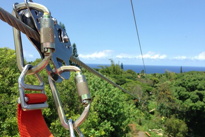 Maui Zipline Eco Adventure: 8 Lines through the Jungle - Check-In Timing, Meeting Point, and the Small-Group Pace