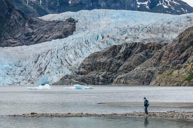 Mendenhall Glacier Visitor Center and Ultimate Whale Watch Combo - The Whale Watch Portion: Heated Boats, Deck Time, and Real Photo Chances
