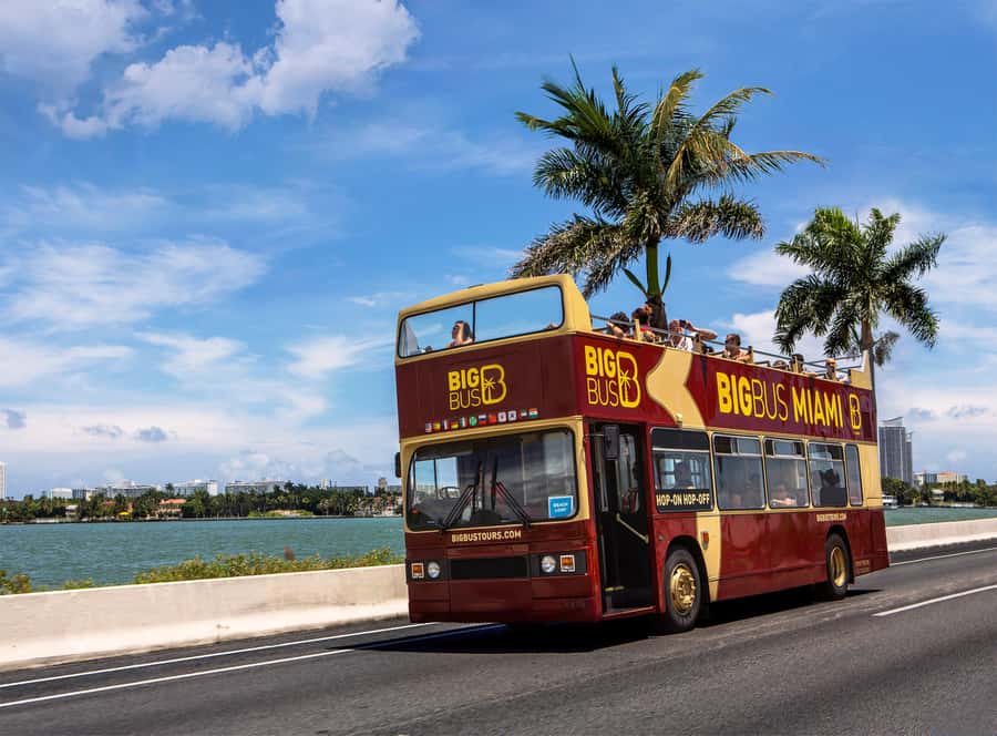 Miami: Everglades Experience, Bay Cruise & Open-top Bus Tour - Who This Tour Fits Best (and Who Should Skip It)