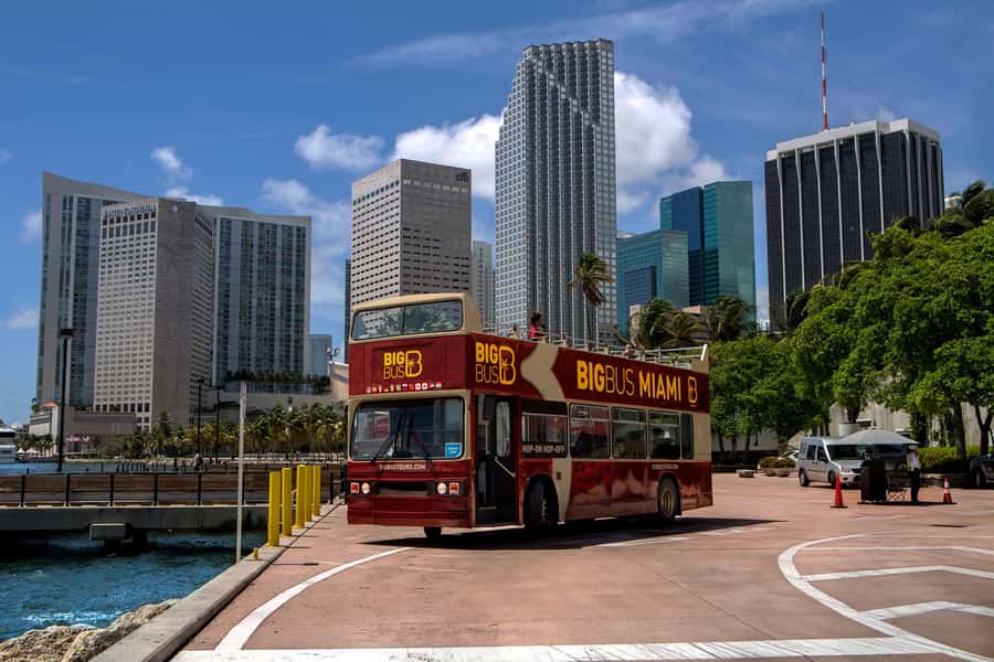 Miami: Everglades Experience, Bay Cruise & Open-top Bus Tour - A Smart Way to Schedule: Do You Need All Three in One Day?