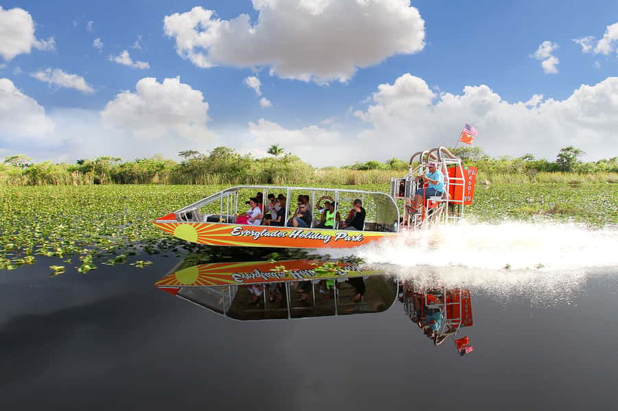 Miami: Everglades Experience, Bay Cruise & Open-top Bus Tour - Price and Value: Is About $80 Really a Deal?