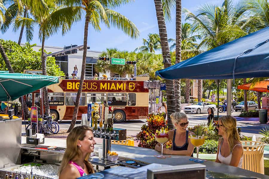 Miami: Everglades Experience, Bay Cruise & Open-Top Bus Tour - Meeting points and time slots that can make or break your day