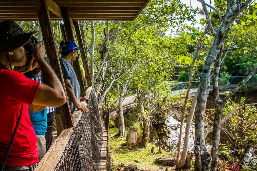 Miami: Everglades Safari Park Airboat Tour - Wildlife Nature Show and exhibits: what to do after the boat