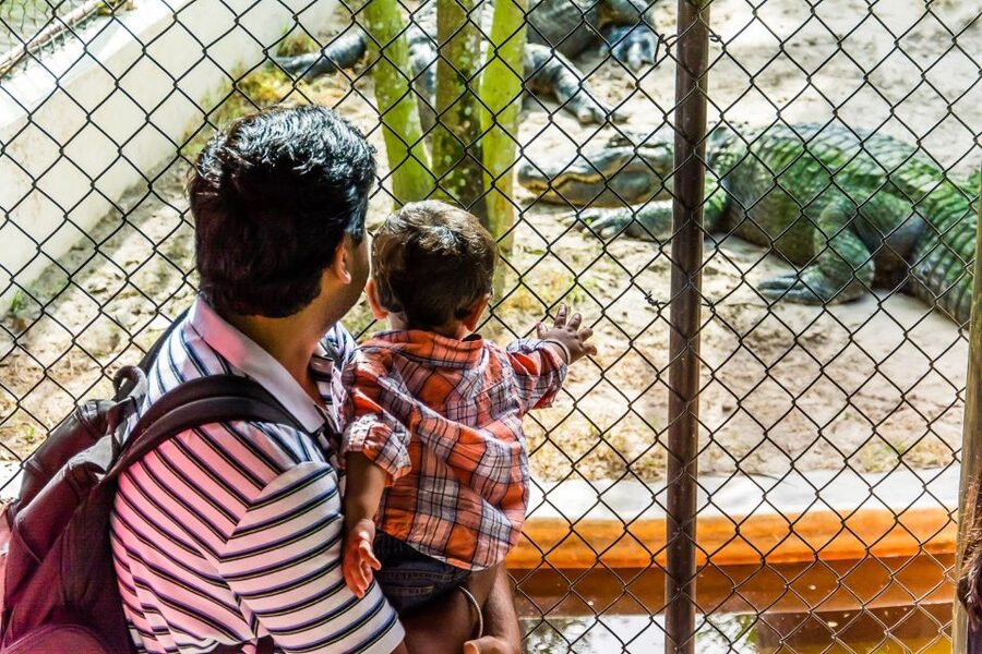 Miami: Everglades Safari Park Airboat Tour - Price, value, and the fee you cannot ignore