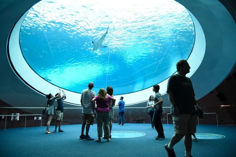 Miami: Frost Museum of Science and Planetarium Entry Ticket - Food, rest breaks, and the small practical stuff