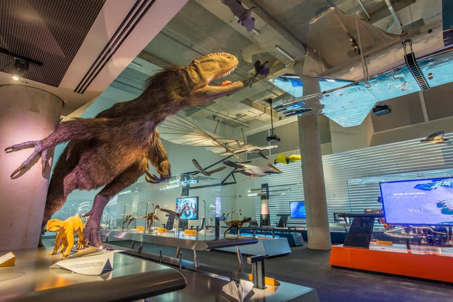 Miami: Frost Museum of Science and Planetarium Entry Ticket - Frost Museum of Science: Why this Miami stop feels special