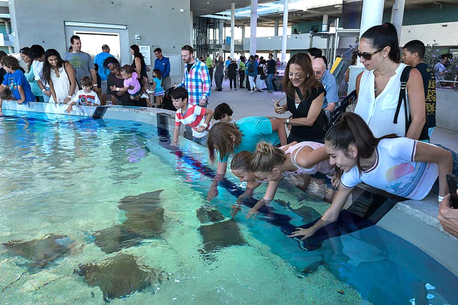 Miami: Frost Museum of Science and Planetarium Entry Ticket - The 30-foot dinosaur moment: Yutyrannus Huali