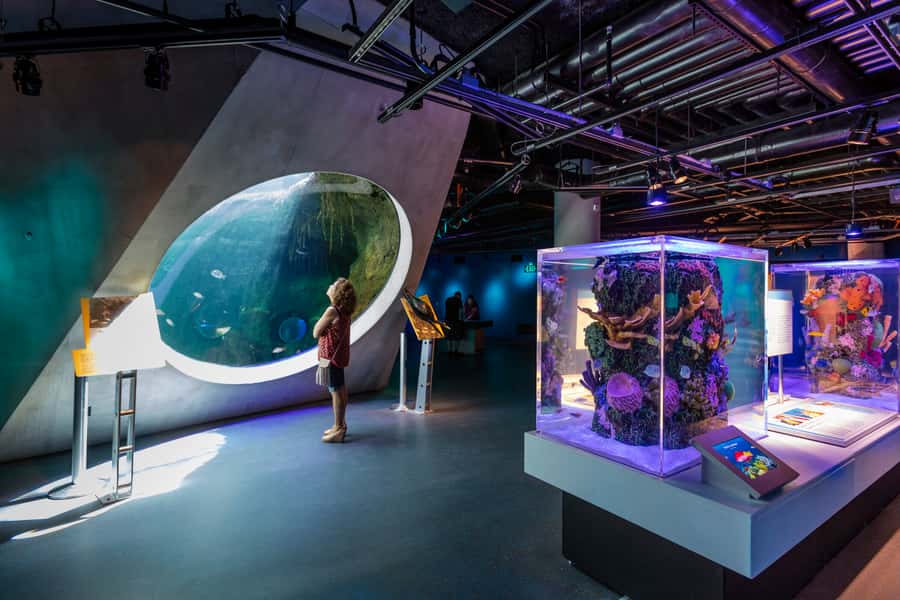 Miami: Frost Museum of Science and Planetarium Entry Ticket - Price and value: does $30 feel fair?
