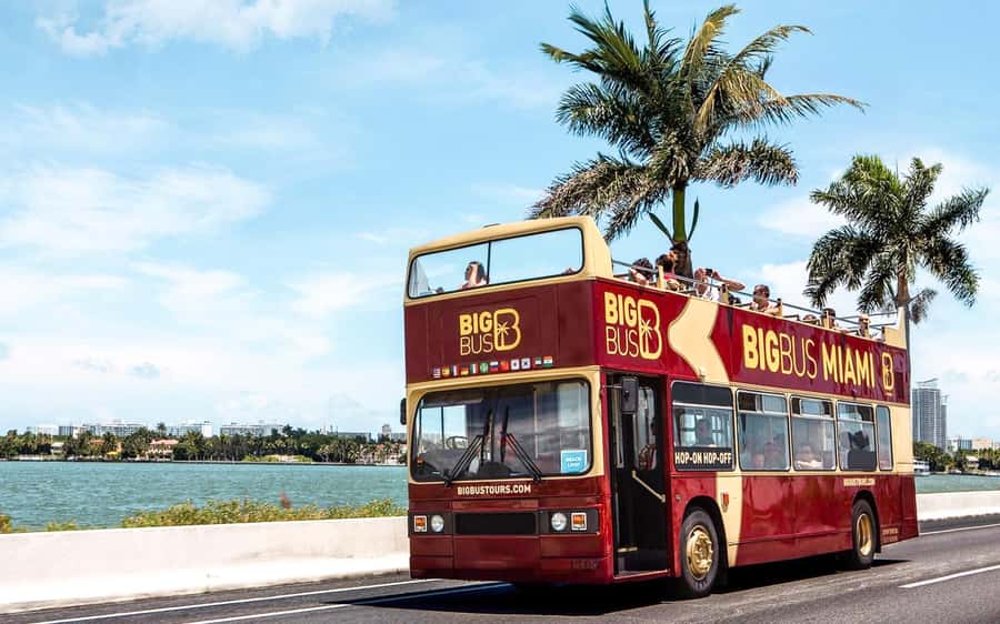Miami: Hop-on Hop-off Sightseeing Tour with Optional Cruise - Key Points to Know Before You Go