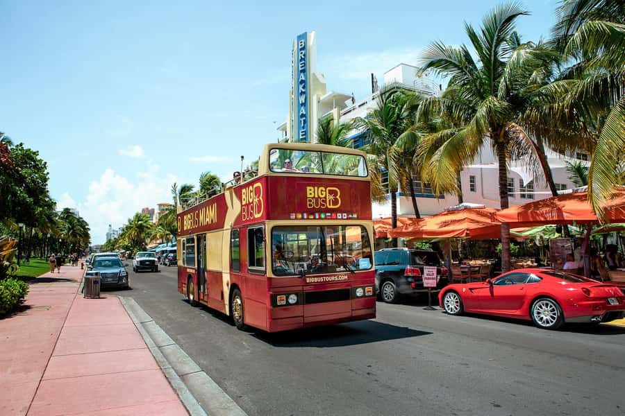 Miami: Hop-on Hop-off Sightseeing Tour with Optional Cruise - Who Should Book This, and Who Might Skip It
