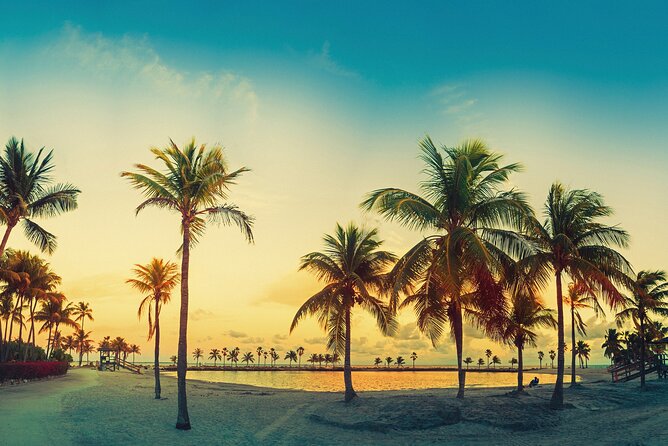 Miami: Open-top Bus Sightseeing Night Tour with Live Guide - Price and value for a 1.5-hour night orientation