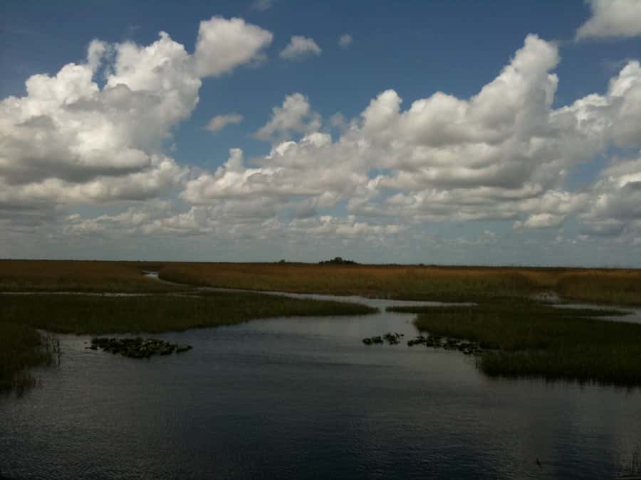 Miami: Original Everglades Airboat Tour & Interpretive area - The pre-ride interpretive area, where the Everglades story gets real