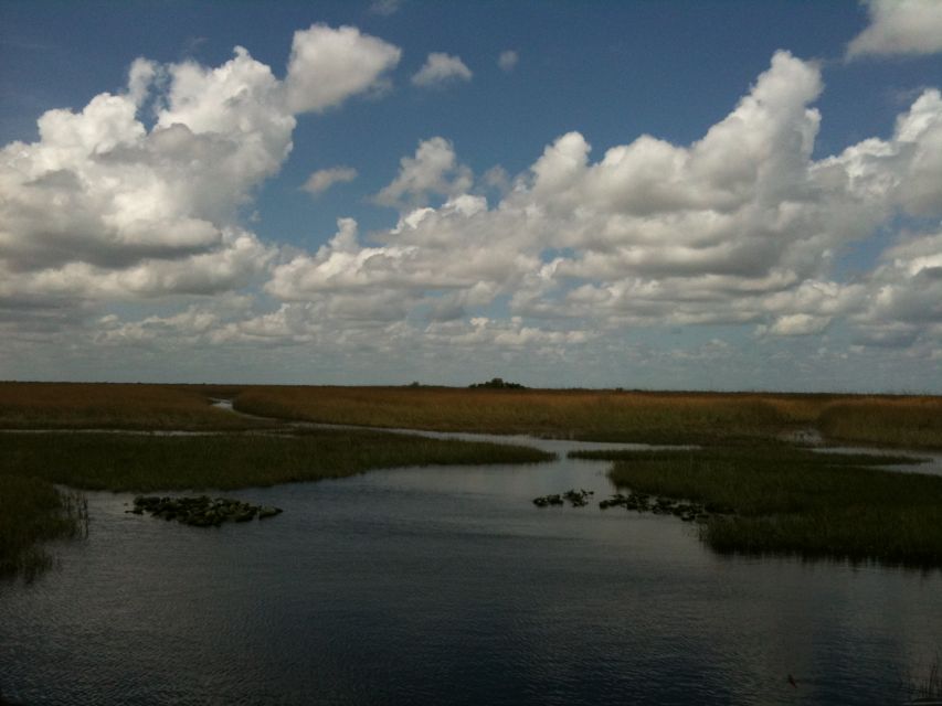 Miami: Original Everglades Airboat Tour & Interpretive area - The show and animal encounters, including the fun and the limits