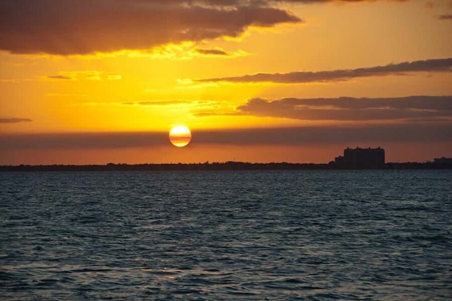 Miami Skyline Sightseeing Cruise and Millionaire Mansions - Before you board: the timing that makes the difference