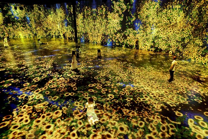 Miami: 'Superblue Miami' Immersive Art Experience Ticket - Your 2-Hour Route Through the Mirrored Maze and Digital Nature Rooms