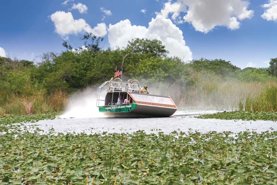 Miami: Wild Everglades Airboat Ride and Gator Encounters - The ride that turns Everglades scenery into a real-time hunt