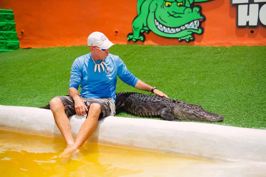 Miami: Wild Everglades Airboat Ride and Gator Encounters - On-site timing: about 3 hours at the park
