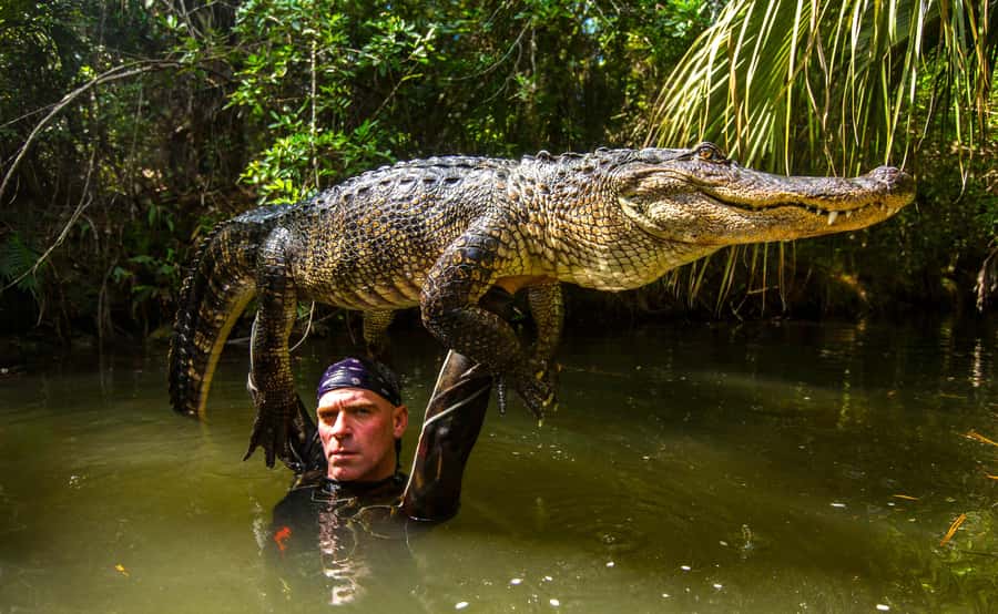 Miami: Wild Everglades Airboat Ride and Gator Encounters - The airboat hour: where you feel the Everglades, not just see it