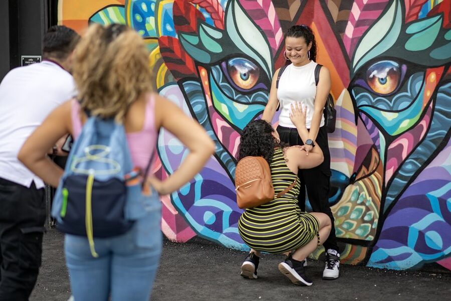 Miami: Wynwood Walls Skip-the-Line Ticket - The street art learning layer, how you understand what you see