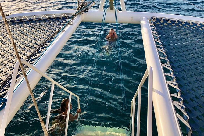 Moana’s Waikīkī Grand Guided Turtle Snorkel & Sailing Adventure - What you’ll see in the water (and what to set your expectations to)