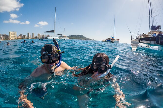 Moana’s Waikīkī Grand Guided Turtle Snorkel & Sailing Adventure - Price and value: why this often feels fair at about $76