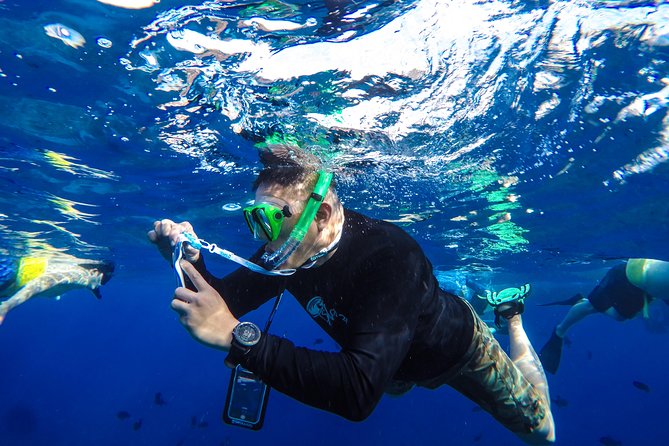 Molokini and Turtle Arches Snorkeling Trip from Ma'alaea Harbor - Weather and swell: how to plan for the one thing you cannot control