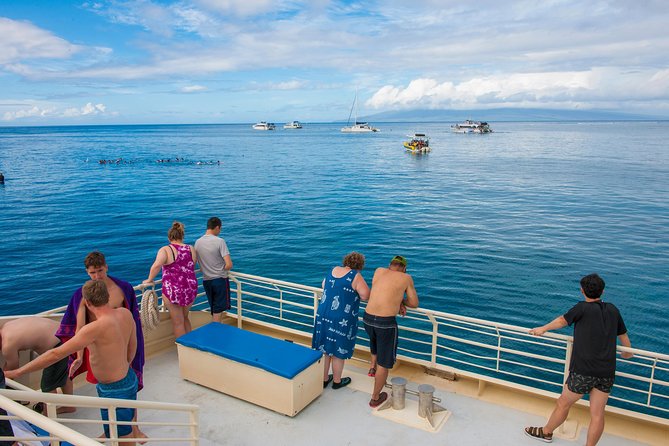 Molokini and Turtle Arches Snorkeling Trip from Ma'alaea Harbor - Reef-safe sunscreen and other rules that protect the ocean