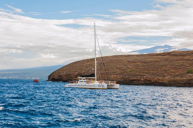 Molokini and Turtle Arches Snorkeling Trip from Ma'alaea Harbor - Price and value: what you’re paying for at about $209.99 per person