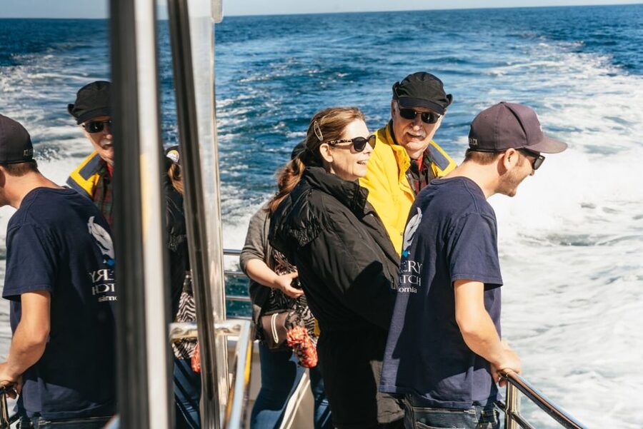 Monterey Bay: Whale Watching Tour - Should you book this Monterey Bay whale watching cruise?