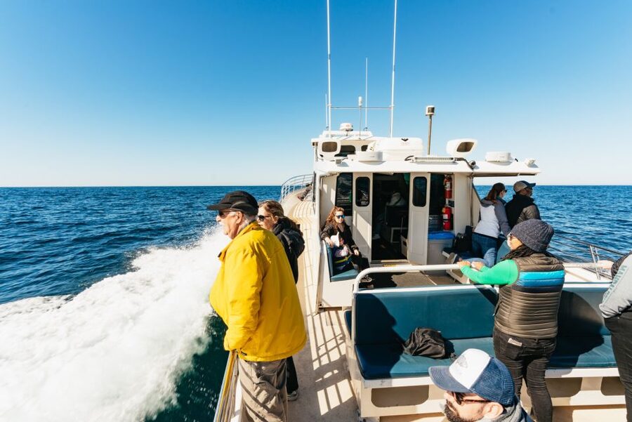 Monterey Bay: Whale Watching Tour - Harbor to sanctuary: the part of the trip that sets the mood