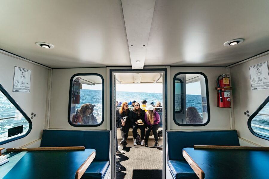 Monterey Bay: Whale Watching Tour - Onboard experience: biologist talk, hot drinks, and real spotting tips