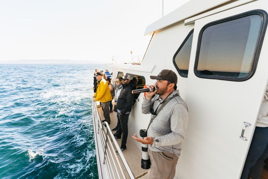 Monterey Bay: Whale Watching Tour - Price and value at $75 per person, and who this suits best