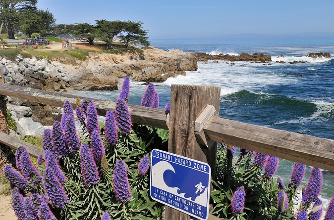 Monterey, Carmel and 17-Mile Drive: Full Day Tour from SF - Monterey free time: what you can do with 2 hours on the waterfront