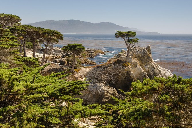 Monterey, Carmel and 17-Mile Drive: Full Day Tour from SF - 17-Mile Drive: classic Peninsula viewpoints with built-in photo stops