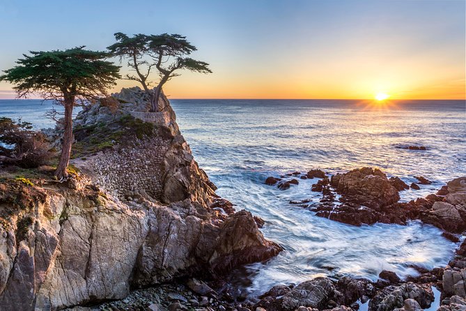 Monterey, Carmel and 17-Mile Drive: Full Day Tour from SF - Price and value: is $125.10 worth it