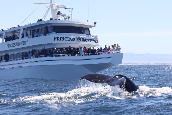 Monterey Whale Watching Tour - The Heart of the Trip: Monterey Bay and the Protected Canyon