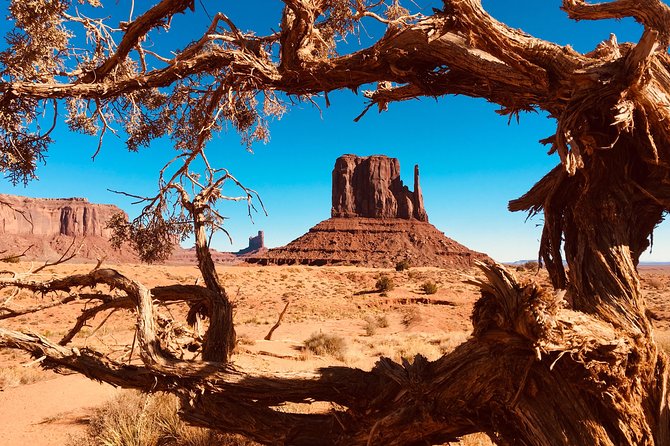 Monument Valley Extended Backcountry Tour - Sun’s Eye, petroglyphs, and ruins that put time in your hands