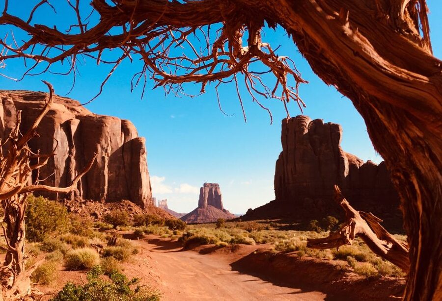 Monument Valley: Highlights Tour with Backcountry Access - Your guide turns the itinerary into a real conversation