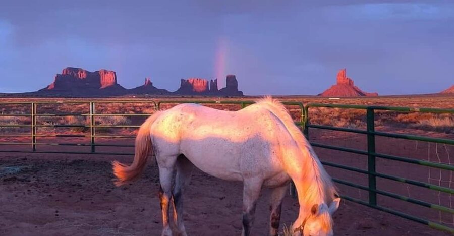 Monument Valley: Horseback Adventure Tour - Why horseback in Monument Valley feels different