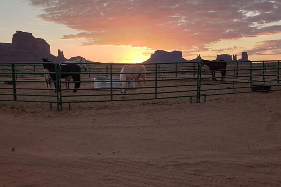 Monument Valley: Horseback Adventure Tour - The value question, is $74 worth a 30-minute horse ride