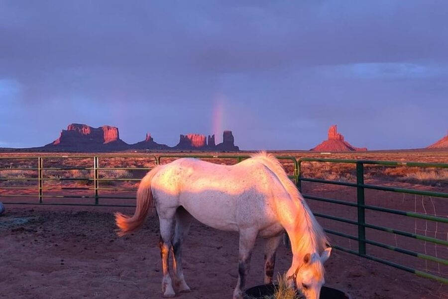 Monument Valley: Horseback Adventure Tour - Meeting up at D/D MTA Horse Tours and getting ready fast