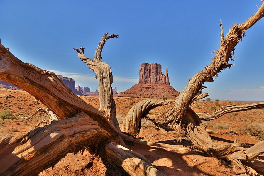 Monument Valley: Scenic 2.5-Hour Guided Tour - Who should book this tour, and who should skip it